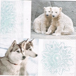 Serwetka -3278- Husky , niedźwiedź polarny